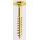 VITE TRUC TPS TORX 4,0X20 PF ZINC MUSTAD