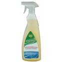 DETERGENTE X PANNELLI SOLARI ECO SERVICE  TRIGGER ML.750 