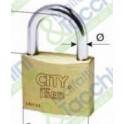 ISEO LUCCHETTO ARCO STANDARD MM.40 CITY
