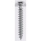 VITE TRUC TPS 3,0X20 INOX MUSTAD