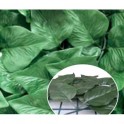 SIEPE ARTIFICIALE FOGLIA LAURO MT.1,5X3 BIACCHI