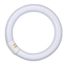 CIRCOLINE 40W/865