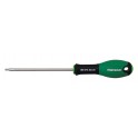 GIRAVITE TORX FORATO 384 STX T25X100 PASTORINO