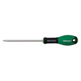 GIRAVITE TORX FORATO 384 STX T25X100 PASTORINO